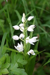 Killikus&reg; Fotographie